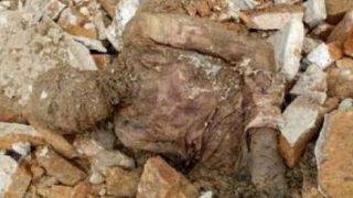 تایید رسمی دفن جسد مومیایی در شهر ری