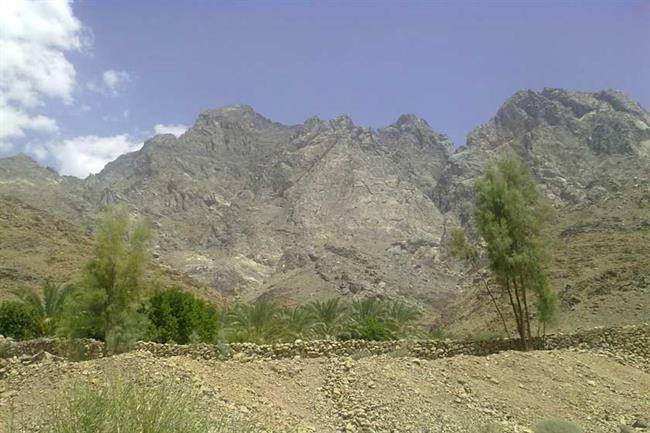 کوه بیرک