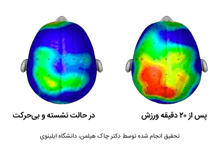 شنا کردن چه تاثیری بر سلامت مغز و روح شما دارد؟