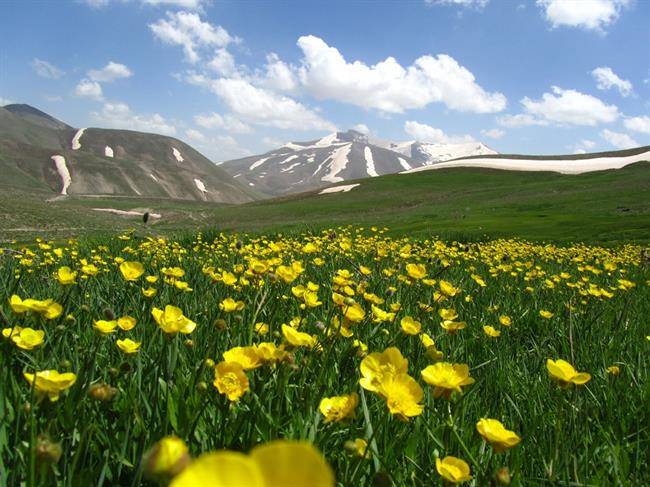 چشم اندازه رشته کوه سهند