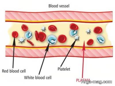 اندازه نرمال پلاکت خون در بدن 