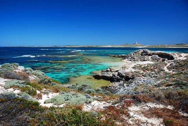 جزیره راتنست Rottnest Island