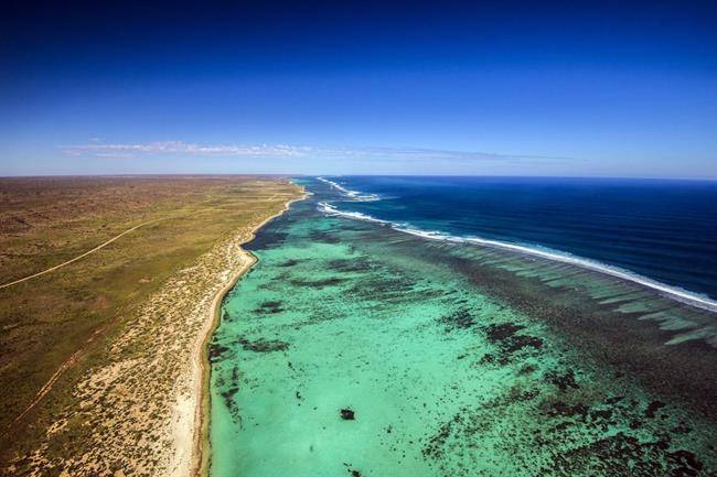 صخره دریایی نینگالو Ningaloo Reef