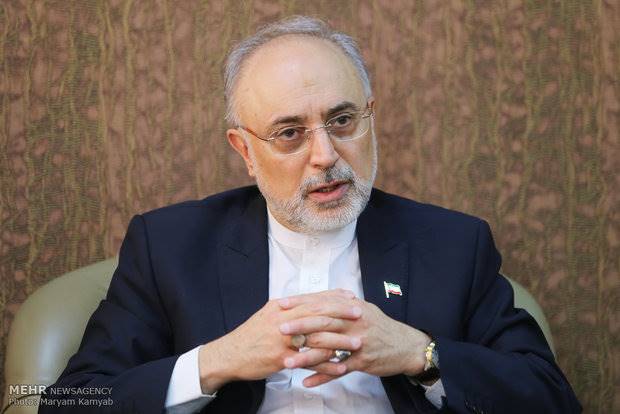 انتقاد صالحی از واکنش شتابزده اروپایی‌ها به خروج آمریکا از برجام