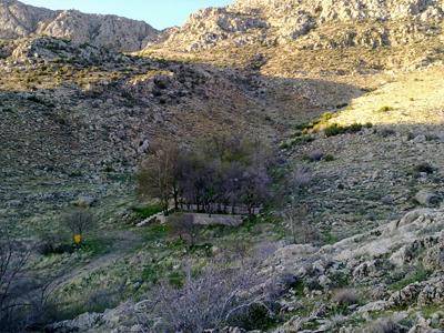 کوه بمو شیراز