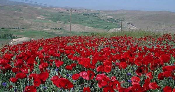 10 جای دیدنی زنجان در تابستان