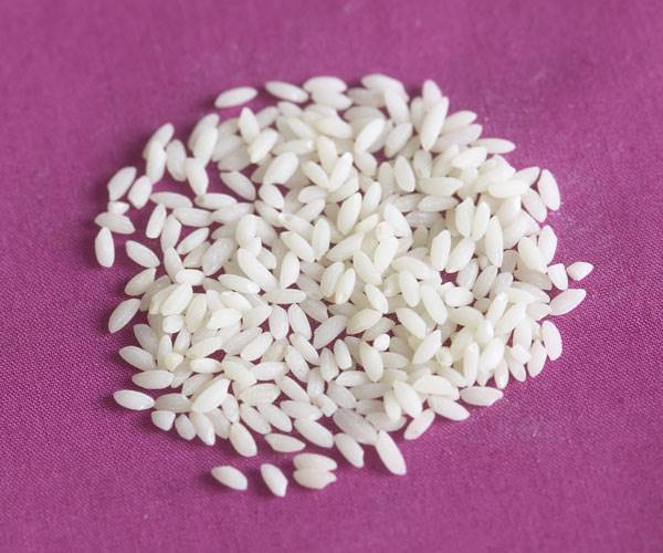 با انواع برنج در دنیا آشنا شوید