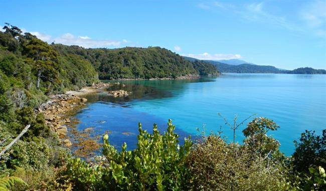 جزیره استوارت Stewart Island را کشف کنید