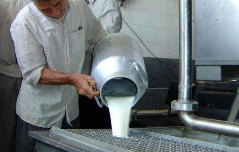 ادامه کشمکش ستاد تنظیم بازار و دامداران بر سر نرخ شیر