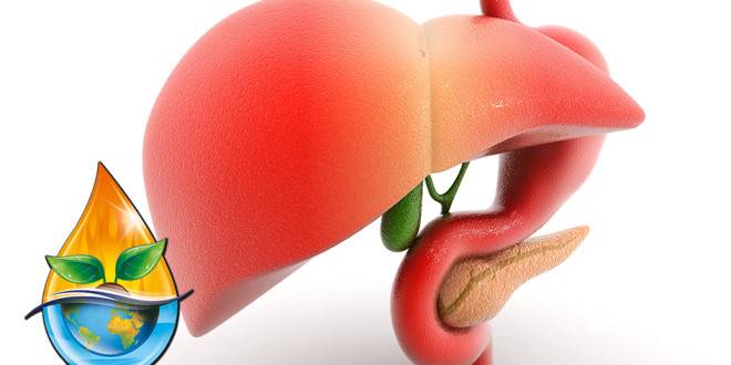 کبد چرب – چیستی، چگونگی و درمان (پایان)