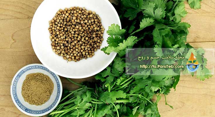 گیاه دارویی گشنیز و خواص آن (1)