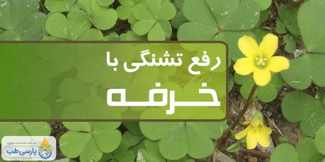 رفع تشنگی شدید با گیاه خرفه در ماه رمضان