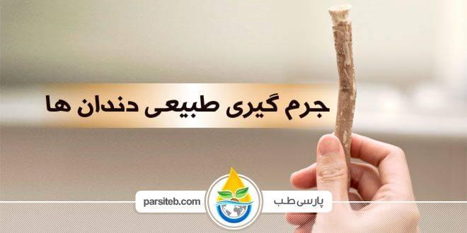 بهترین روش جرم گیری دندان ها با استفاده از چوب مسواک