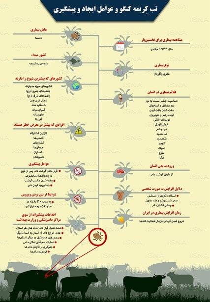 تب کریمه کنگو