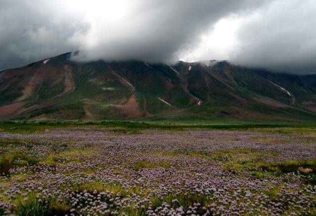 طبیعت شهرستان مراغه