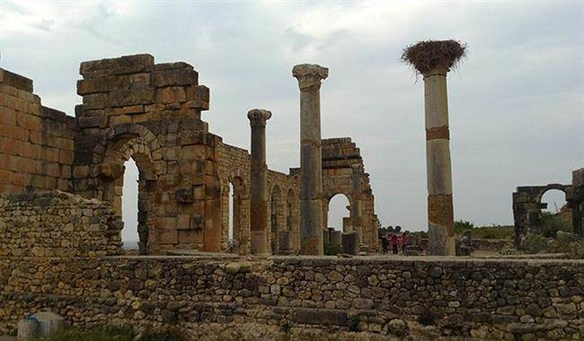 ولیلی (Volubilis)