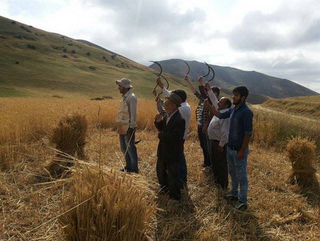 پارادوکس میان آب و غذا در ایران