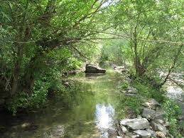 روستای مج