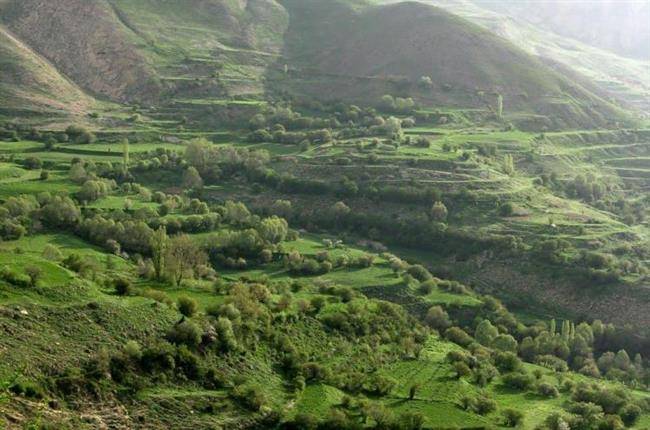 روستای نوا