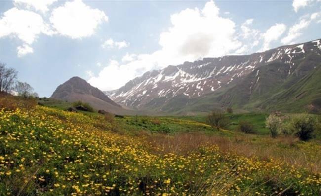 روستای نوا