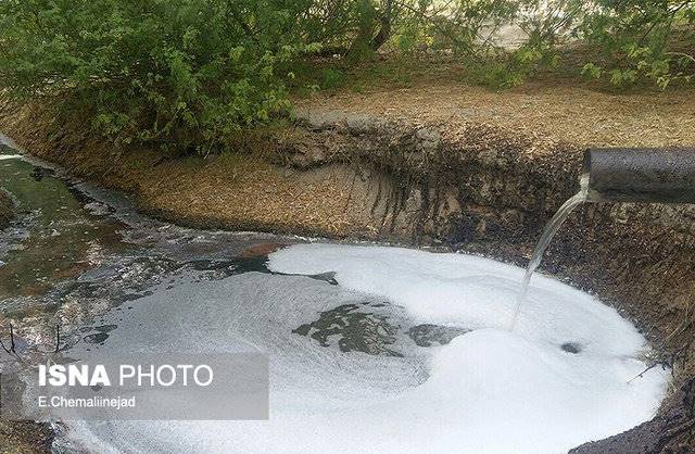 مهدی‌آبادی‌های البرز در محاصره موش‌ها و فاضلاب