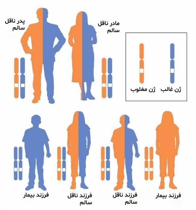 بیماری ای بی - الگوی وراثت اتوزومال مغلوب