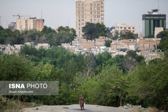 برخورد با همسایه‌های متصرف فضای سبز در شهرک غرب