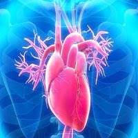 سیگار، عمر را کوتاه می‌کند
