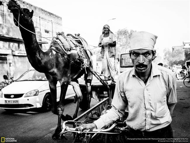 عکس منتخب نشنال جئوگرافیک ؛ خیابان های راجستان 