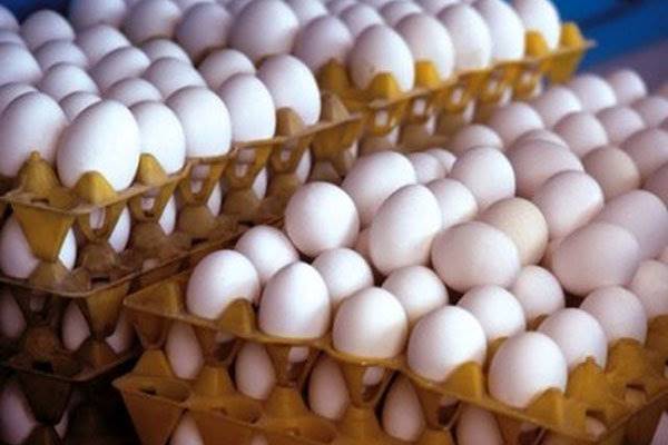کاهش 20 درصدی تولید تخم مرغ/قیمت رقابتی برای صادرات نداریم