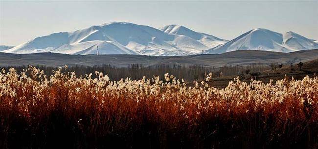 تابستان های خنک