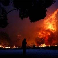تصاویر/ جهنمی که آتش در جنگل‌های یونان به پا کرد/ مرگ 16 کودک در آتش