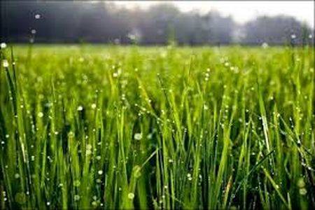 توصیه‌های هواشناسی کشاورزی برای روزهای آینده