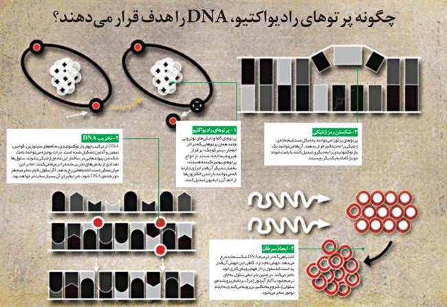 ققنوس حیات وخاکستر اتمی