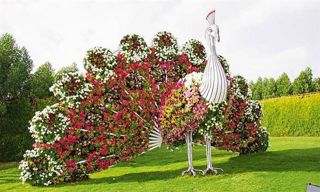 Miracle garden dubai