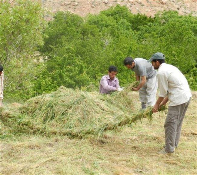 روستای نیگنان