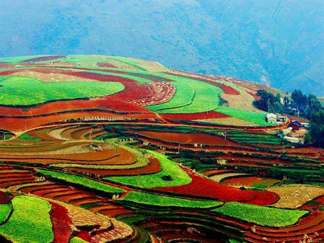 منطقه دونگ چوآن رد لند (dongchuan red land) در چین