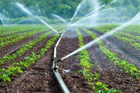 صرفه جویی سالانه 275میلیون متر مکعب آب کشاورزی