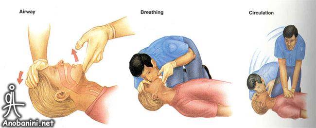 آموزش روش CPR