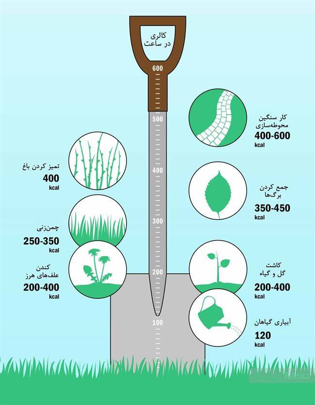 باغبانی