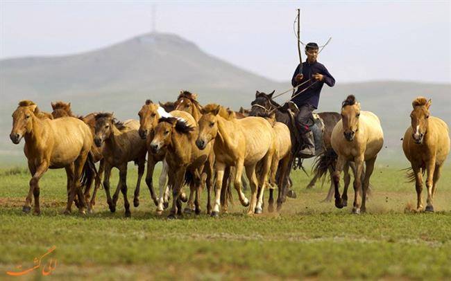 عشایر مغولستان