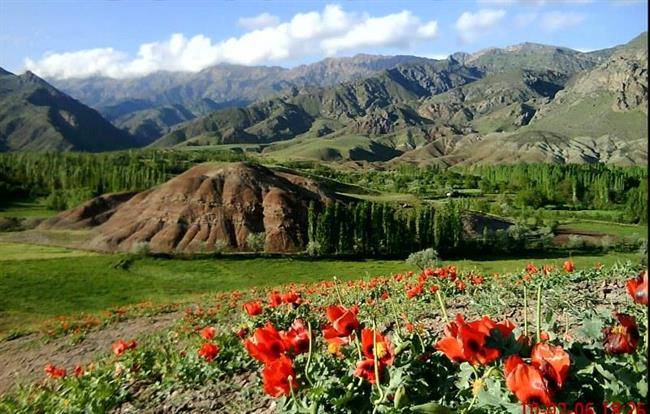 بهشتی در میان بهشت