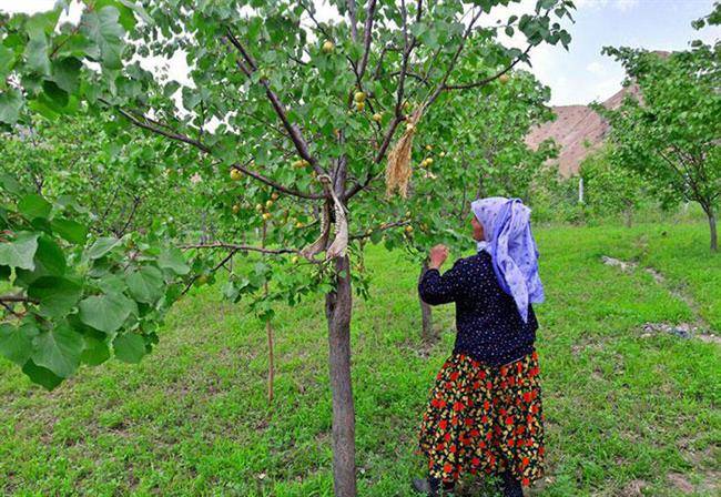 زنان هنرمند پا به پای مردان تلاش می کنند