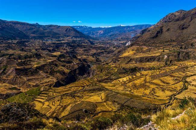 تنگ دره کولکا Colca Canyon