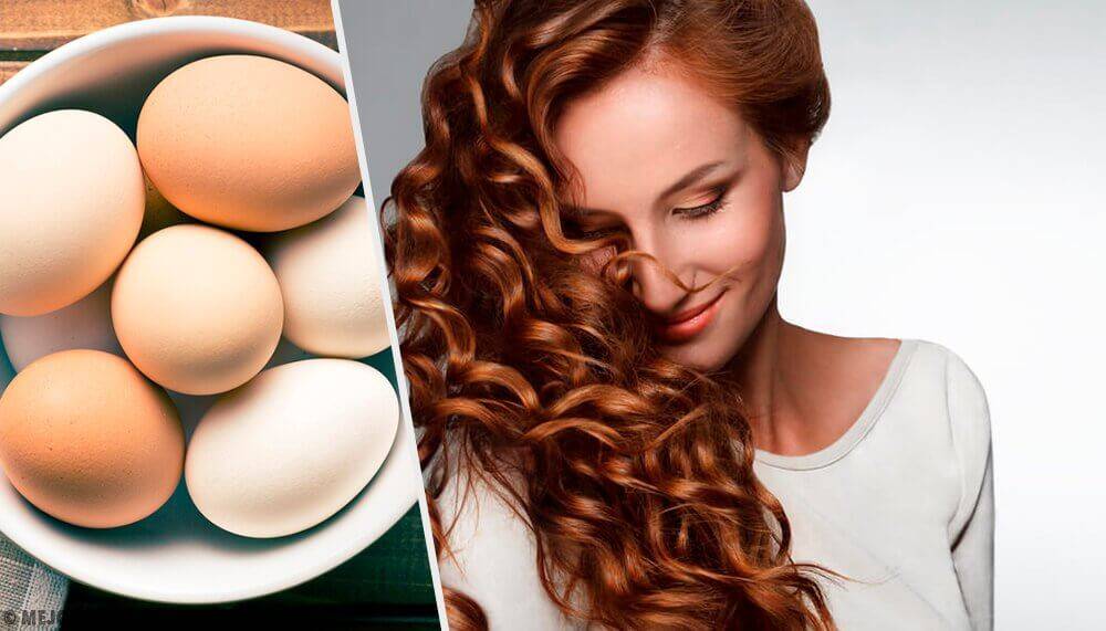 تخم مرغ برای سلامت موها
