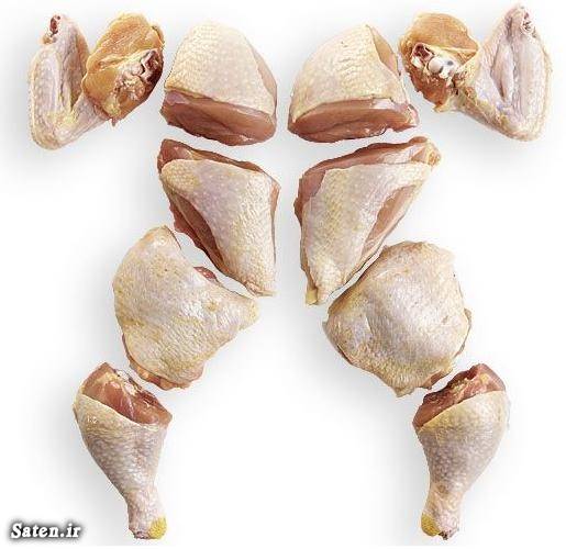 روش خرد کردن مرغ برای جوجه کباب خلاقیت آشپزی چگونه مرغ را تکه تکه کنیم بهترین سایت آشپزی بهترین روش خرد کردن مرغ اصول خانه داری آموزش خانه داری آموزش آشپزی آشپزی ساده سریع و آسان