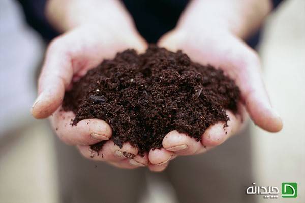خاک مناسب برای شروع به حیاط تکانی
