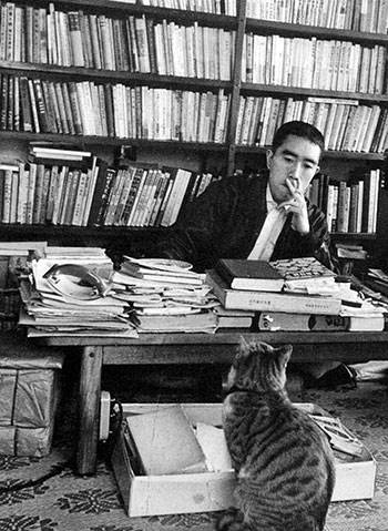 درباره موراکامی نویسنده‌ای در قاب فرهنگ غرب