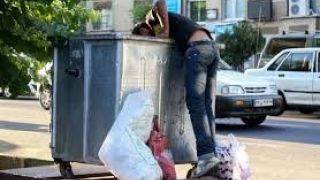 محیط زیست: بیشتر زباله‌گردها طرف قرارداد با پیمانکاران شهرداری تهران هستند