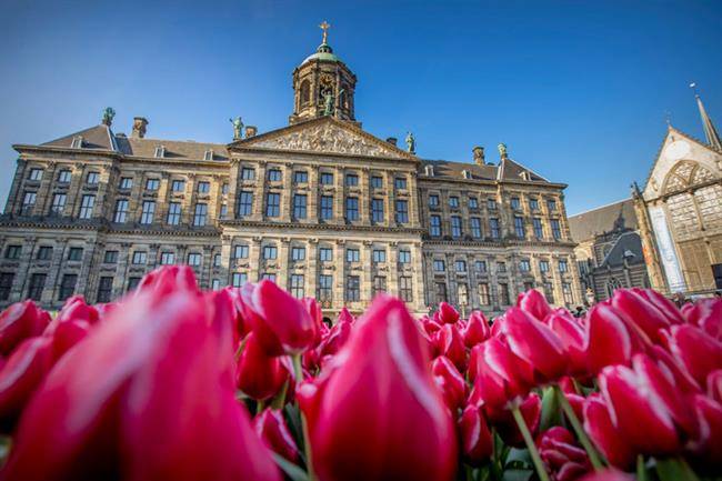 بهترین زمان سفر به آمستردام را می‌دانید؟